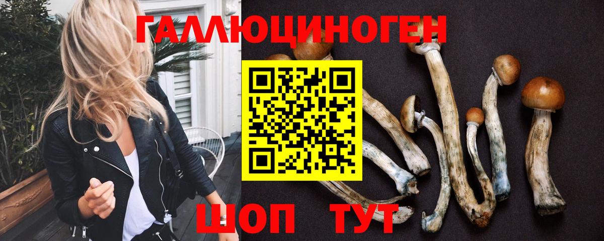 Псилоцибиновые грибы Cubensis Нефтеюганск