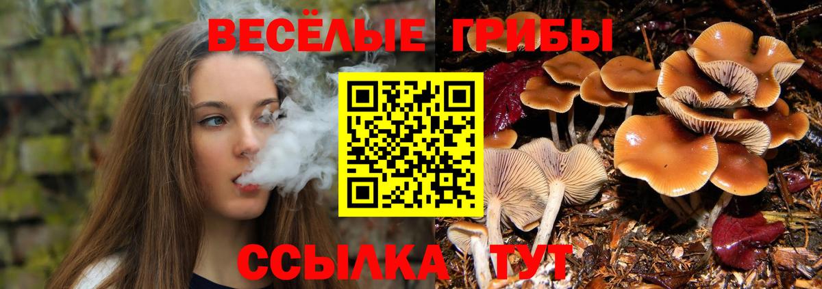 Галлюциногенные грибы Cubensis  Вход с VPN  где купить   Нефтеюганск 
